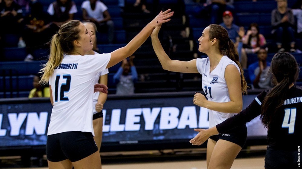volleyball celebration