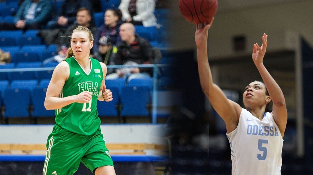 vaatanen willock wbb